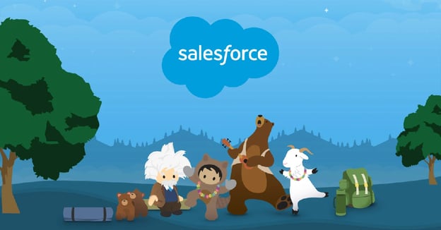 Salesforce Managed Services: A Clever Solution for SMBs